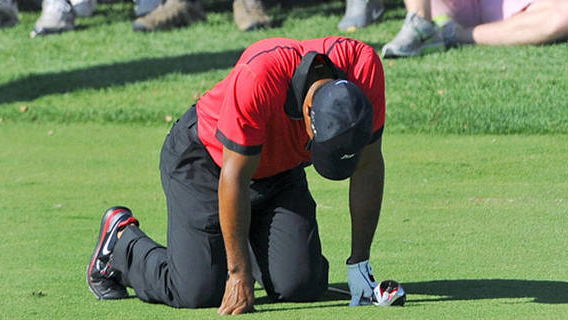 Tiger pulls out of API